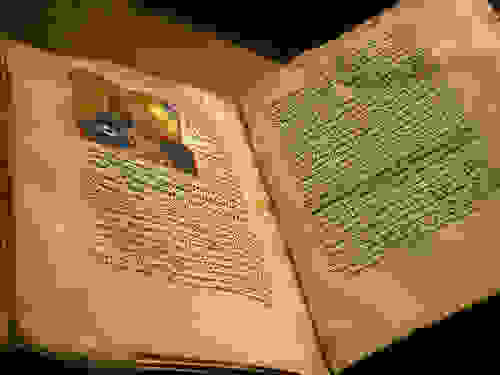 Σχετική εικόνα