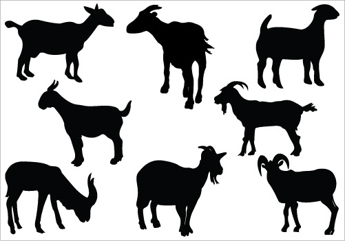 Download Free Nubian Goat Silhouette Download Free Clip Art Free Clip Art On Clipart Library