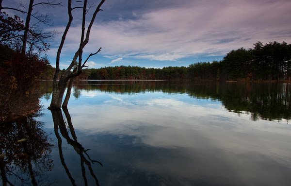 reflection fascination