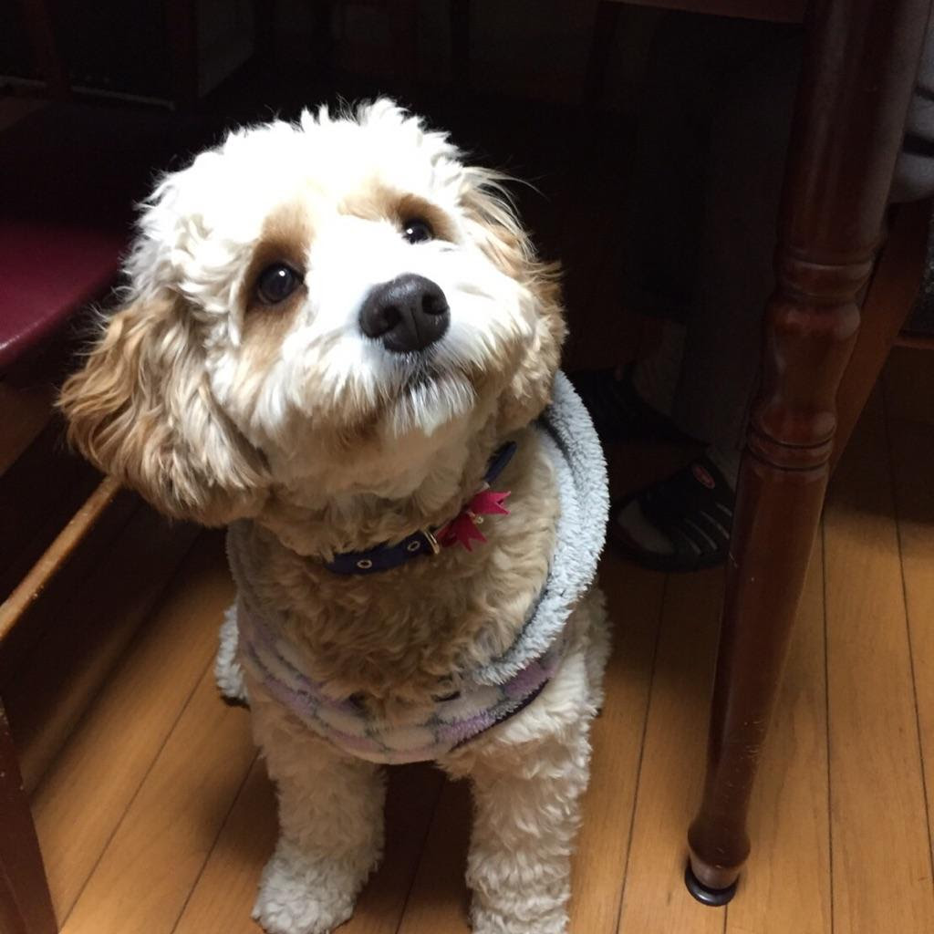 伊野尾慧の検索結果 Ameba アメーバブログ