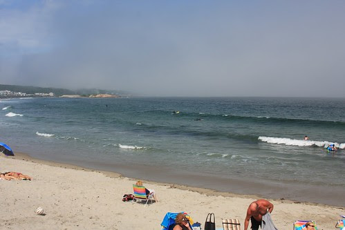 IMG_4413.JPG