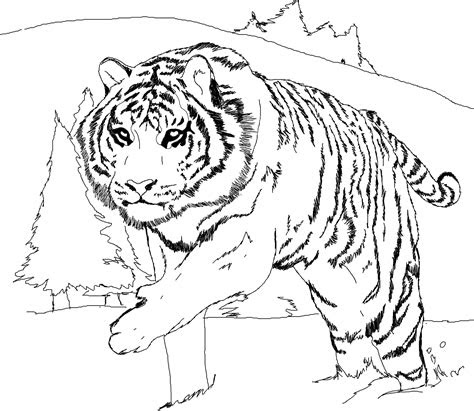 Artistic or educative coloring pages ? free printable tiger coloring pages for kids