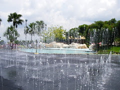 IMGP2669