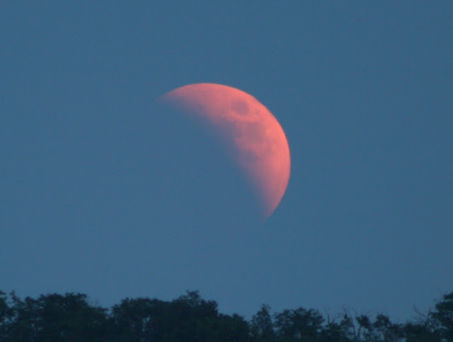 Forrás: Megyes István