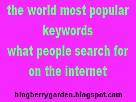 most popular key words people search for in the world