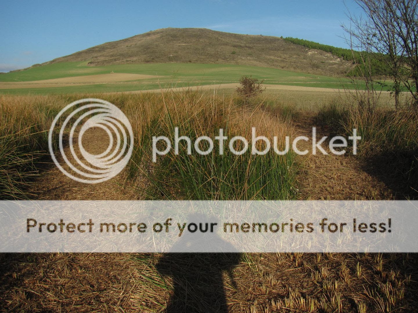  photo IMG_3571_1.jpg