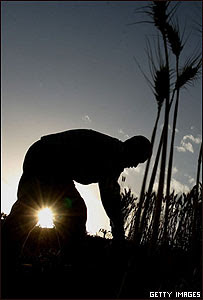 Agricultor en Shaanxi, China.