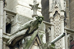Gargoyle at the cathedral of Notre Dame, Paris, France