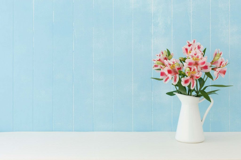 cut_flowers_mykeyruna