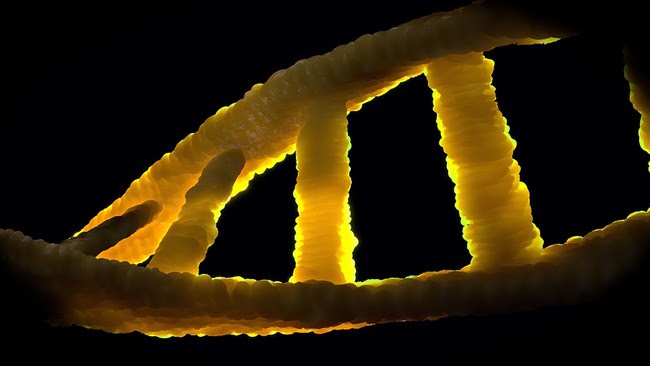 Dna 1388692 960 720