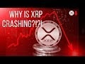 Why Is The Crypto Market Crashing Now : Why is the crypto-market falling now? - Quora - A 9% overnight crash knocked a further 7% off of the price of bitcoin, which is now worth about $35,000.