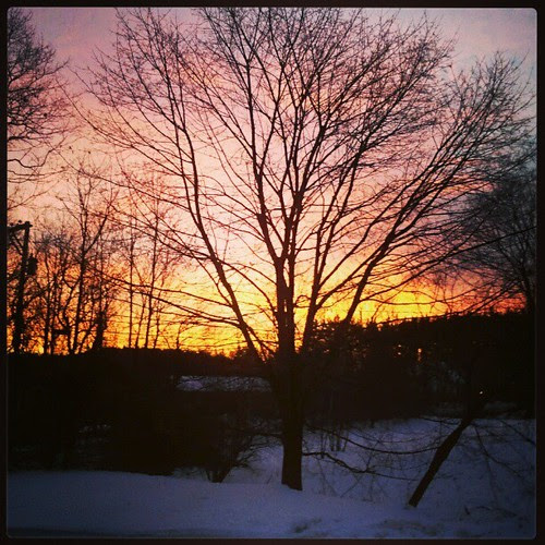 Happy Friday! #morning #sunrise The pic doesn't do the true color justice... it was even glowing a warm pink/red in my living room!! #beautiful #sky #tree #newengland #snow