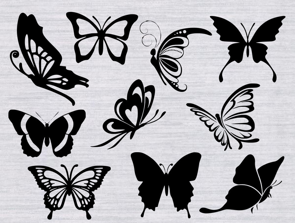 Rainbow Butterfly svg, Download Rainbow Butterfly svg for ...