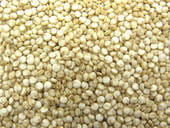 nutrition of quinoa seeds