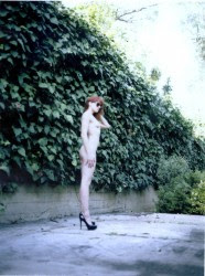 imagebam.com