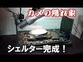 √1000以上 カメ シェルター 817881-カメ シェルター 植木鉢