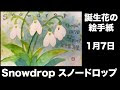[10000印刷√] スノー ドロップ 誕生 花 244517-スノー ド���ップ ドラマ キャスト