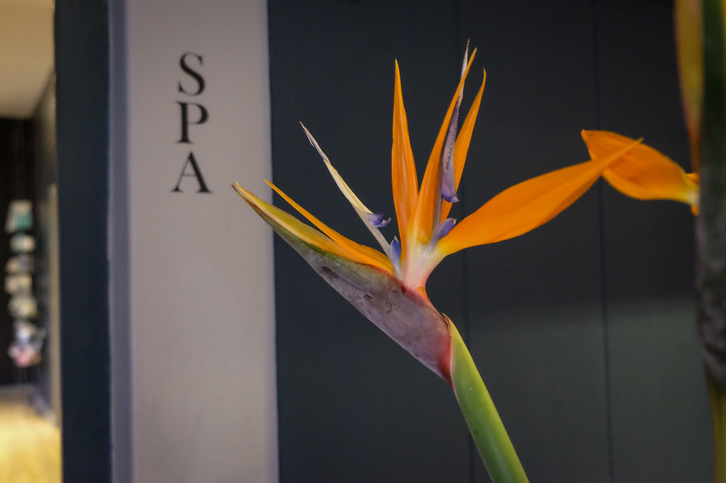 Majeka House Spa 