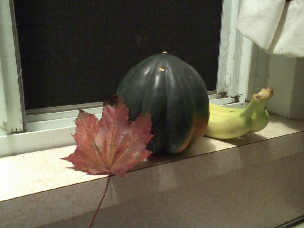 Still life with maple leaf, acorn squash, and two bananas
