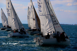 J/24s sailing Italian winter series