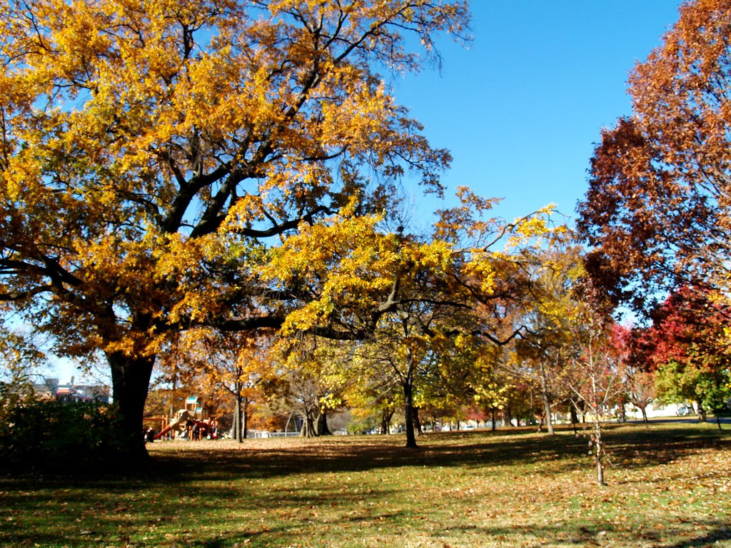 Quincy Park