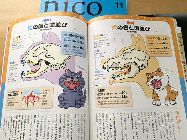 Nico ニコ 11月号特別企画イラスト 37pから げんさんblog