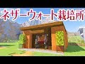 画像 マイクラ 木 育て方 ��下 919718-マイクラ 木 育て��� 地下