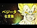 [コンプリート！] 漫画 ベジータ 名言 872529