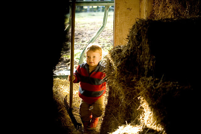 farmer_boy