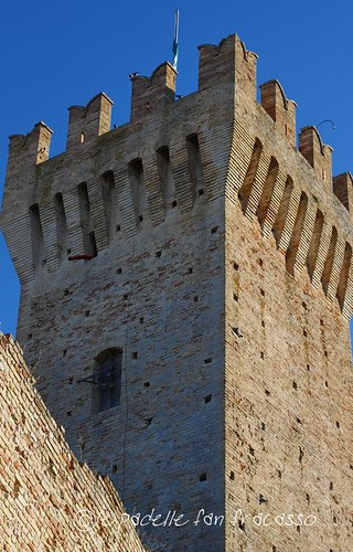 IMG_2605