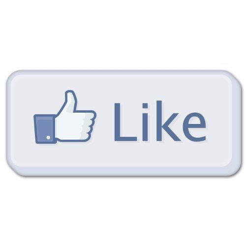 Judge Leonard P.Stark allowed Facebook to do an about face just three months before trial to include on-sale bar and blocked Leader from conducting additional discovery to prepare their defenses