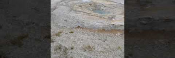 Mustard Yellow Stone Download Youtube Videos Mp3 and Mp4
