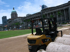 Carpeting the Padang