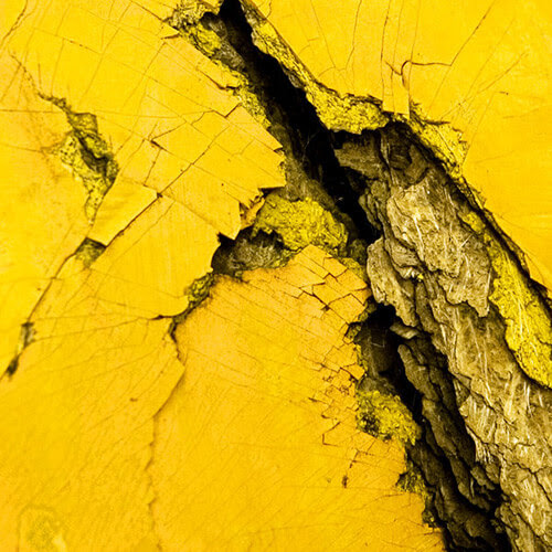 Abstract Photography