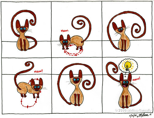 Clear (November 10, 2006)