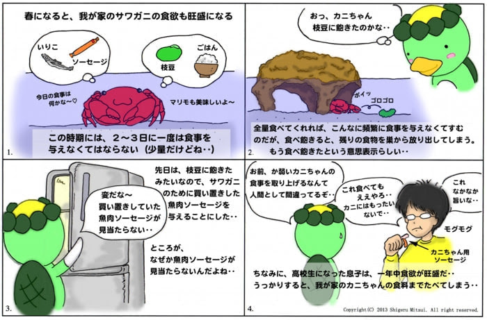 過去の雑談 その11 Of 三井医院