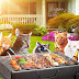 Sundays With Tabs the Cat, Makeup and Beauty Blog Mascot, Vol. 816
