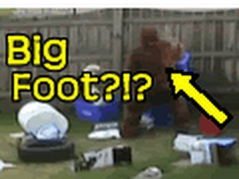 real bigfoot caught on tape