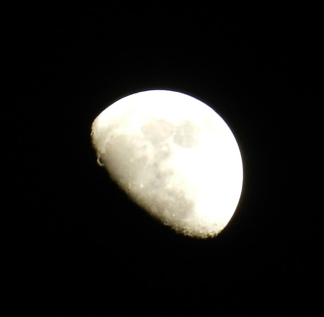 skywtmnDSCN9576