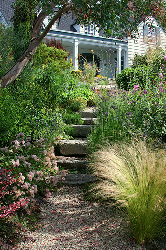steps