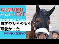 [10000ダウンロード済み√] アーモンドアイ 馬 かわいい 812387-アーモンドアイ 馬 かわいい