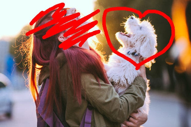 There are very, very few things more heart-wrenching than being obsessed with dogs but also being allergic to them.