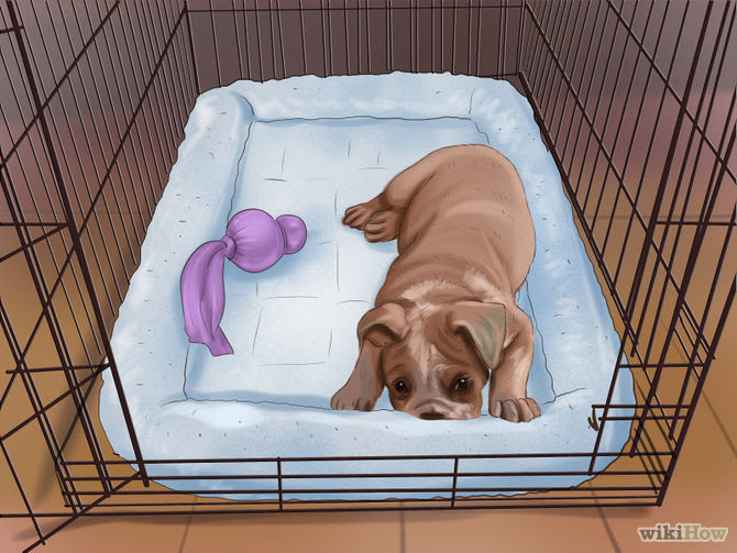 Crate Train Your Dog or Puppy Step 28 Version 2.jpg