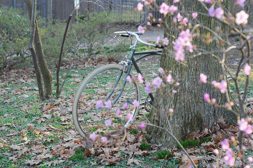 ANT Truss Frame Bicycle