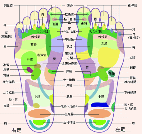 青竹踏み 腰痛対策