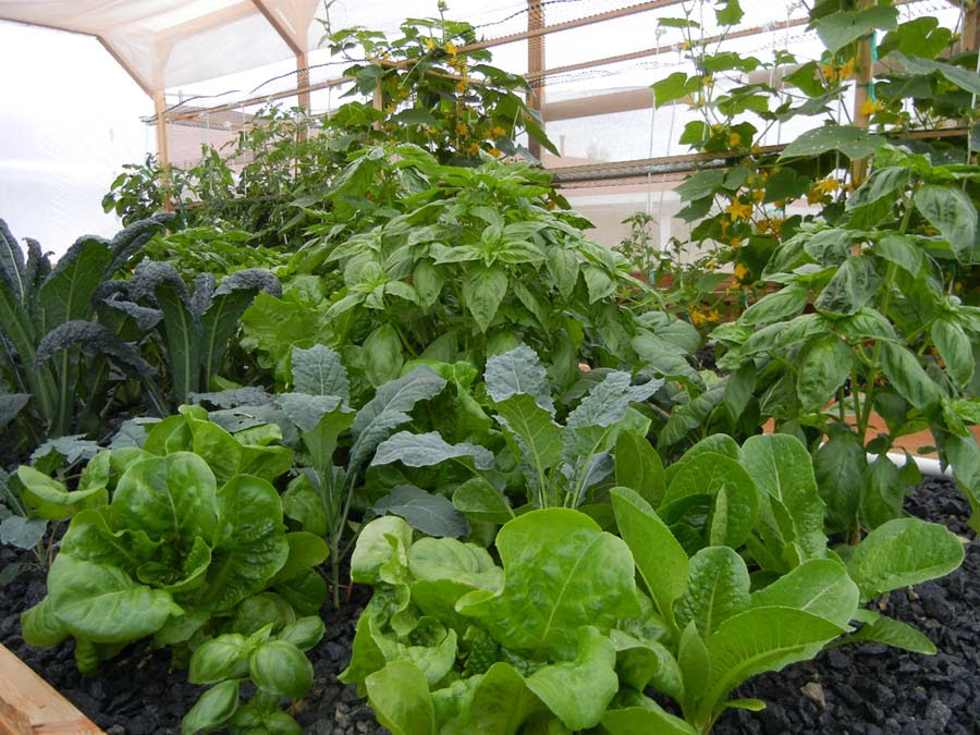 faq - portable farms