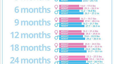 When Do Babies Reach 20 Lbs