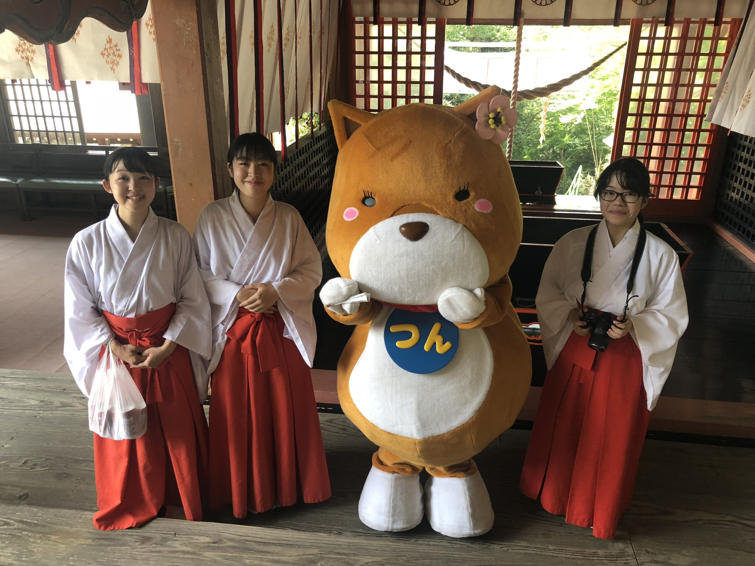 新田神社 夏の行事 御神鏡清祭 こころ 薩摩川内観光物産ガイド