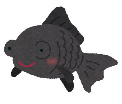 無料素材 黒い出目金を描いたイラスト 愛嬌のある表情がかわいい雰囲気