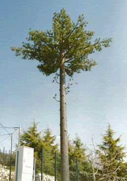 PAGE 15 / INTÉGRATIONS PAYSAGÈRES DES ANTENNES RELAIS - SITE DE CCARRA -  NATIONAL